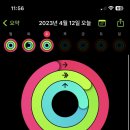 바다가 되고싶은 비 이미지