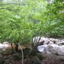 덕봉쉼터 이미지