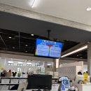 6586 | 고양 물노리베이비ㅣ50일, 60일 아기 수영장 후기