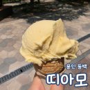 용인동백호수공원 | 용인 동백 호수공원 카페 띠아모 TIAMO 젤라또 아이스크림 내돈내산 후기