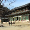 보은하다 이미지