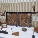 시립배곧호반2차어린이집 이미지