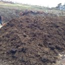 조양농원 이미지