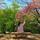 성산패총로-2 이미지