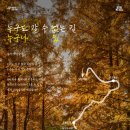 서울시, &#39;남산하늘숲길&#39; 개방 1개월… 누구나 쉽게 오르는 힐링 명소길로 인기 이미지