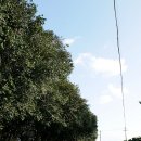 이시돌영농조합법인 이미지