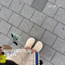 부암초등학교 | 경기도 안양시 평촌 임장, 부동산 분위기 임장 후기