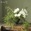 오차원 - 용산구 이태원로55가길 15 | 장충동꽃집 오차원 가격 위치 영업시간