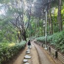 현충근린공원(유아숲체험장) 이미지