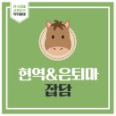 (주)위너스팜 | 혈통의 스포츠, 가장 강한 3세마를 가리는 코리안더비라는 소개 : 올해는 과연?