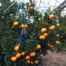 빈이네농장 이미지