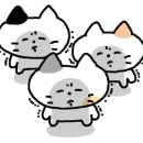 어회장댁 이미지
