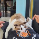 솔빈마루 이미지