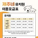 제주네 애견유치원 이미지