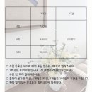 수련 | 해운대 요가 추천, 초보자도 안심하는 해운대 요가원 ㅣ 부산 요가강사 은교t의 수련 클래스
