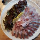 동해포차 이미지