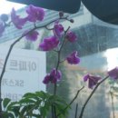 SK순정공인중개사사무소 이미지