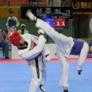 한반도태권도 이미지