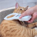 펫365동물병원 이미지