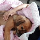 우리두리농장 이미지