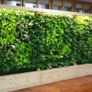 개림중학교 이미지