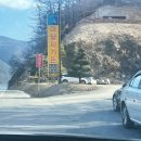마달피가든 | 충남금산맛집 송어회가 맛있는 마달피가든 다녀온후기