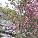 오일시장(축협하나로마트) 이미지