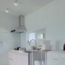 다포아라 이미지