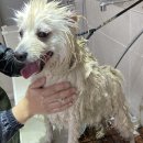 몽스빌리지 이미지