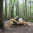 오고생이 이미지