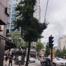 YJ행정사 합동사무소 이미지