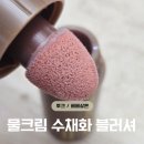 (야)쉽고 예쁜 수채화 | [투크 물크림 수채화 블러셔] 베베살몬 후기 | 올리브영 내돈내산, 자연광 블러 치크
