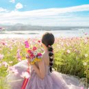 동화 속 만들기 세상 (B) | [계약후기] 동화감성 제주웨딩스냅 연그라미 10월