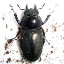 (주)애사랑 이미지