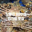 여정수산 | 뚠뚠여지도 273번째 여정 노량진 수산시장 맛집 대게 킹크랩 88수산 방문 후기