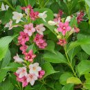 우체국길 이미지