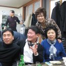 미농식당 Daum카페