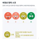 부산 다온동물병원 10살 진돗개 백구 봄이 업그레이드 건강검진 내돈내산 후기