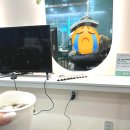 진영헤어 티스토리