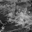 gc-camera-020 이미지