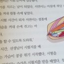 서연펜슬