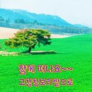 고창김밥 네이버블로그
