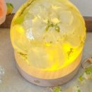 블루밍 플라워 앤 가든 이미지