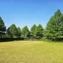 함평파크골프장 이미지