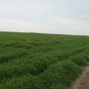 신강농장 이미지