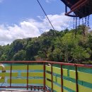 레젼드안경 | 필리핀 세부 보홀섬 투어 타르시어 보호센터 안경원숭이 나비공장 초콜릿힐 방문 후기