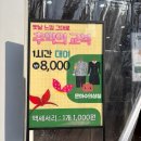 드라마촬영장 | 【순천 드라마 촬영장】 순천 갈만한 곳 가족 나들이 장소 추천!