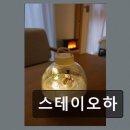스테이오하