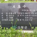 세심정 이미지