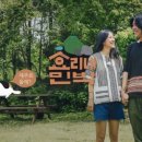 효리네 민박 이미지